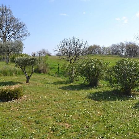 Village De Gites Les Olivettes Saint-Dezery Exterior photo