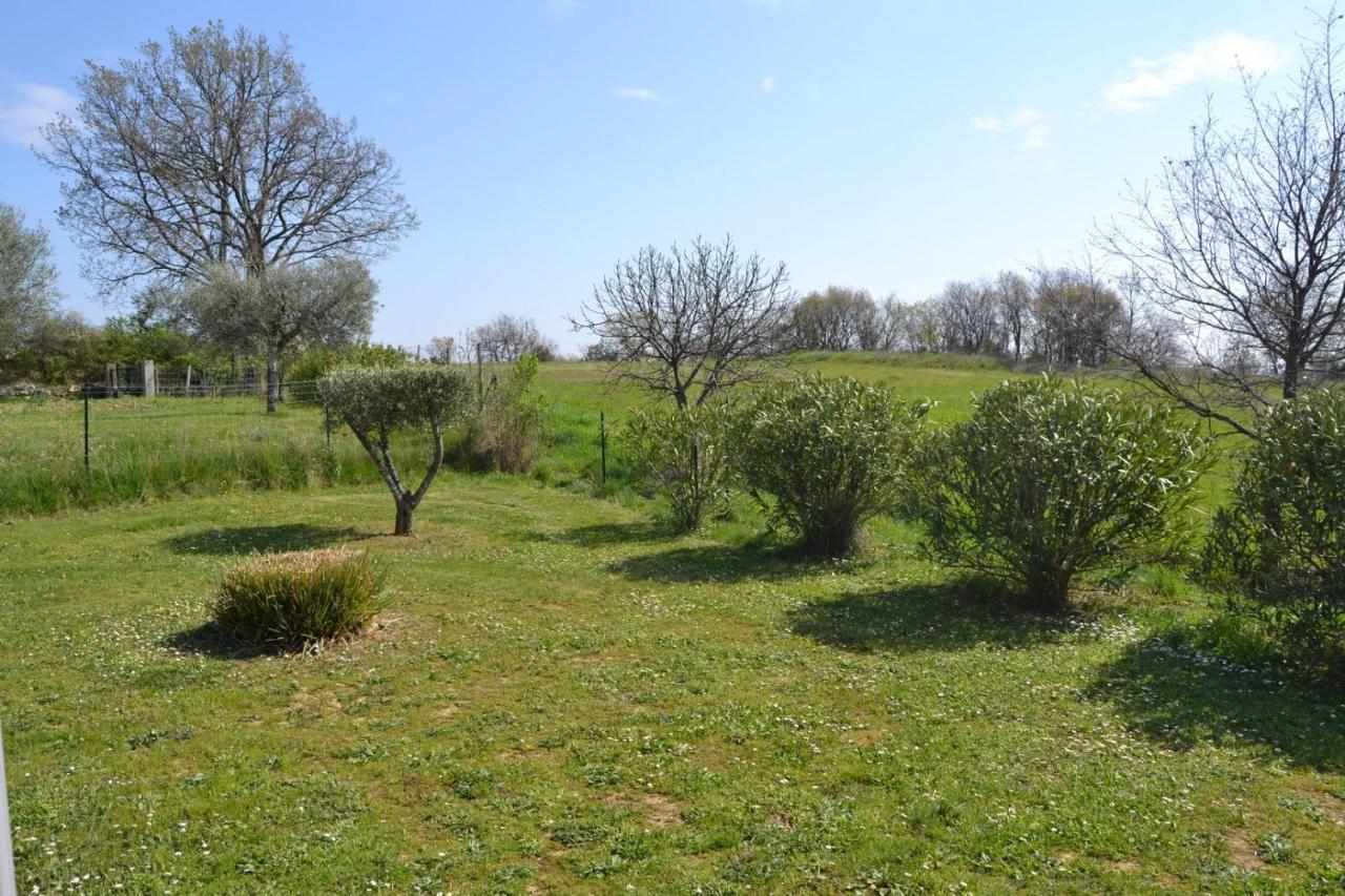 Village De Gites Les Olivettes Saint-Dezery Exterior photo