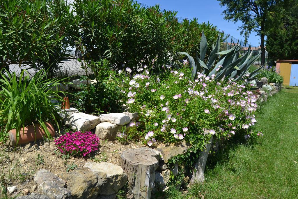 Village De Gites Les Olivettes Saint-Dezery Exterior photo